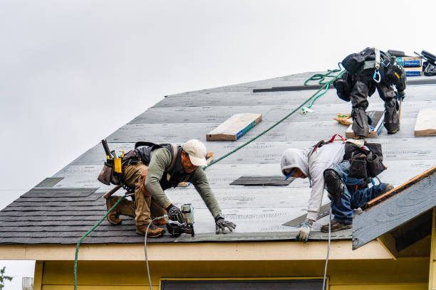 Professional Roofing technician working in Northport, WA